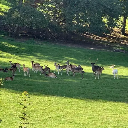 Bauernhof - Auszeit Mal Anders * Seckach