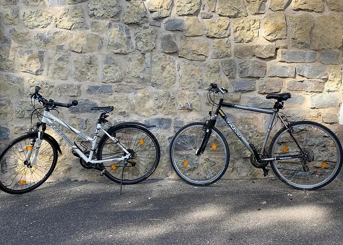 아파트 Bauernhof - Auszeit Mal Anders Seckach