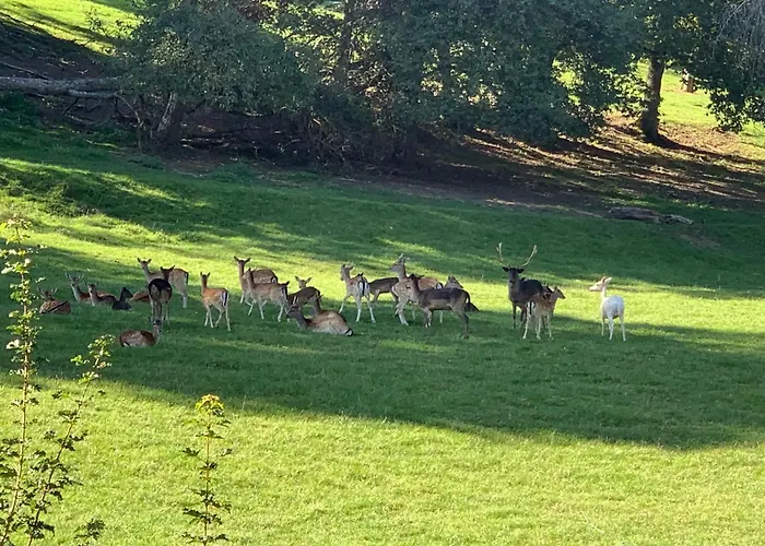 Bauernhof - Auszeit Mal Anders * Seckach